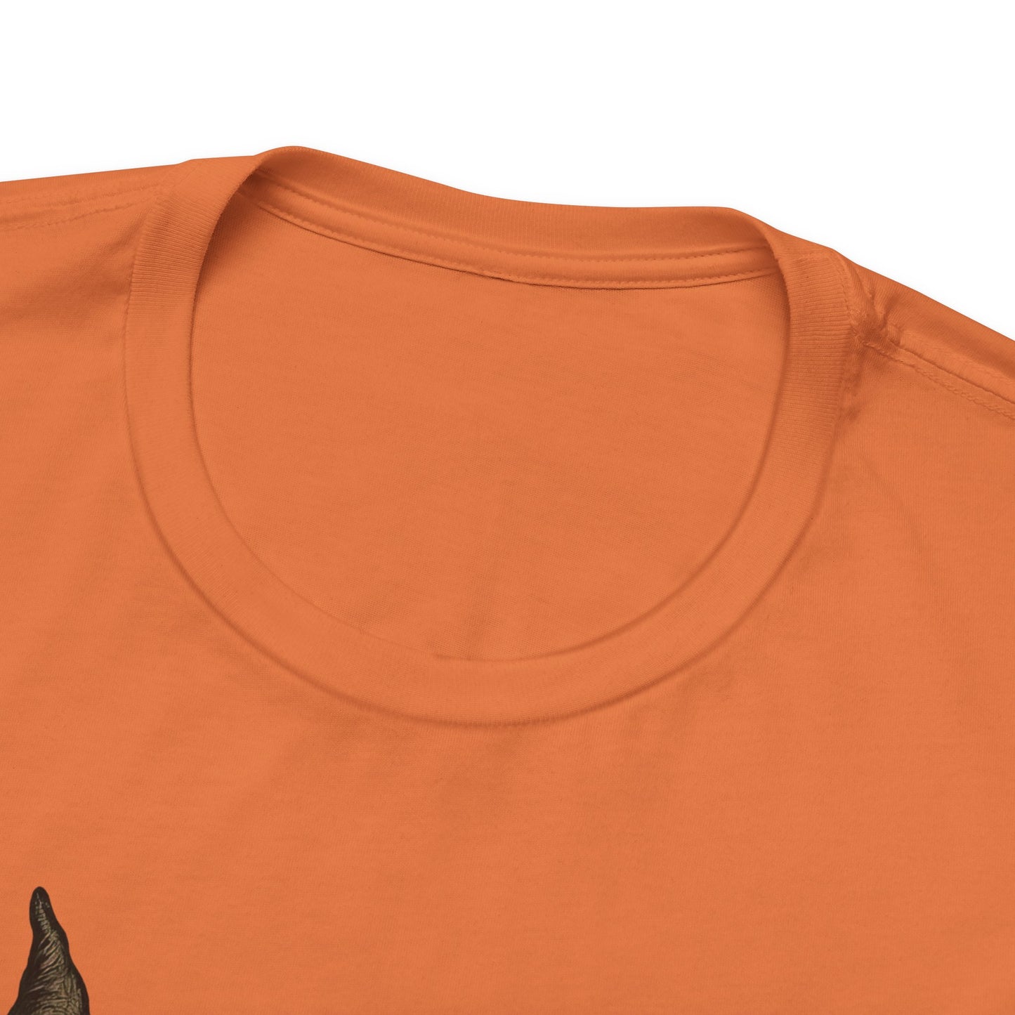 Halloween Raccoon Tee